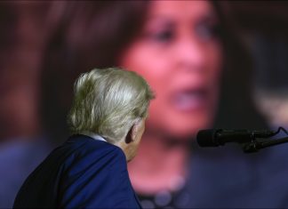 Trump oder Harris: Wann das Ergebnis der US-Wahl feststeht Donald Trump schaut auf einen großen Bildschirm mit Kamala Harris.