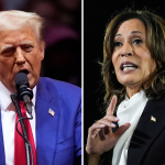 Swing States: Welche Staaten entscheiden die US-Wahl? Trump und Harris kämpfen in den Swing States am letzten Tag vor der Wahl um Stimmen.