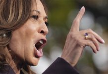„Wir geben nicht auf“ – Harris reagiert auf Wahlniederlage Kamala Harris von der Seite während ihrer Rede in Washington.