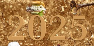 2025 Collage mit Pudel, Matjesbrötchen, Molotow und Posaune. Die Collage deutet jeweils auf eine Silvesterparty hin. Fotos: Annette Meyer/pixabay, chili71/pixabay, jacqueline macou/pixabay, Matthias Lipinski/pixabay, Felix Lichtenfeld/pixabay.