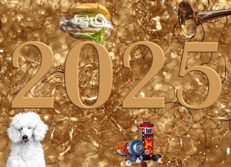 Beats statt Böller: Vier Alternativen zur klassischen Silvesterparty 2025 Collage mit Pudel, Matjesbrötchen, Molotow und Posaune. Die Collage deutet jeweils auf eine Silvesterparty hin. Fotos: Annette Meyer/pixabay, chili71/pixabay, jacqueline macou/pixabay, Matthias Lipinski/pixabay, Felix Lichtenfeld/pixabay.