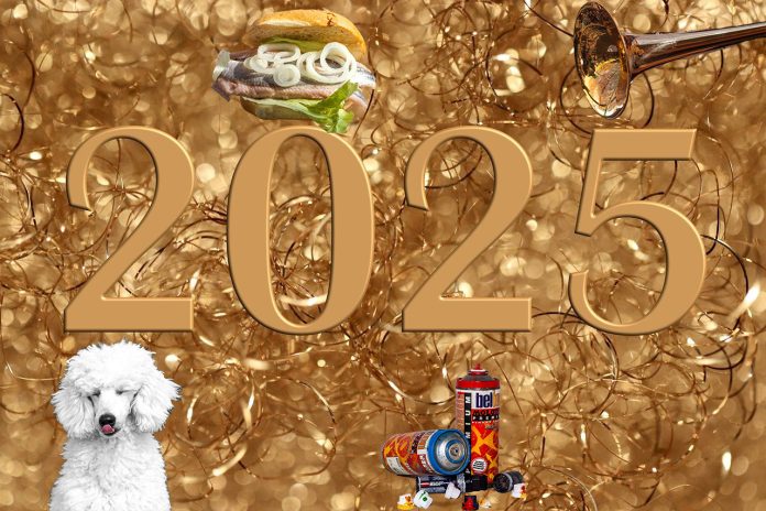 2025 Collage mit Pudel, Matjesbrötchen, Molotow und Posaune. Die Collage deutet jeweils auf eine Silvesterparty hin. Fotos: Annette Meyer/pixabay, chili71/pixabay, jacqueline macou/pixabay, Matthias Lipinski/pixabay, Felix Lichtenfeld/pixabay.