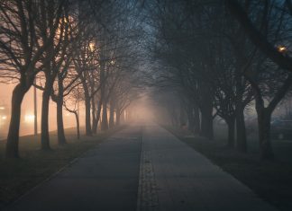 UrbView: Mehr Sicherheit durch smarte Stadtplanung Ein Gehweg in der Dunkelheit. Links und rechts stehen Baumreihen.