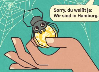 Das Highlight der Zwanziger: Die Suche nach bezahlbarem Wohnraum Eine Illustration zeigt eine Spinne, die Geld für die Wohnungsmiete abgibt.