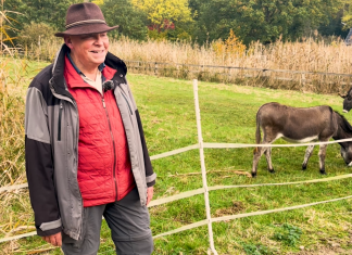 Tierisch entschleunigt: Zu Besuch bei der “Eselei” Tierisch entschleunigt: Zu Besuch bei der “Eselei” in Bergedorf