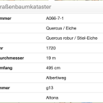 Straßenbaumkataster Stiel-Eiche