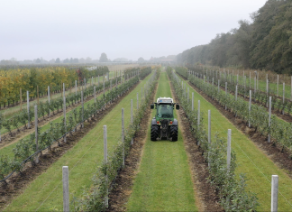 Künstliche Intelligenz im Alten Land Das Esteburg Obstbauzentrum Jork aus Perspektive einer Drohne. In der Mitte ist ein Trecker, um ihn herum eine Apfelplantage. Aufgeteilt in gleichmäßige Reihen. An der rechten Seite befindet sich eine Baumreihe eines angrenzenden Waldes. Der Himmel ist bewölkt.