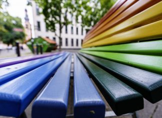 Pläne für Unterkunft für queere Geflüchtete in Winterhude gestoppt ARCHIV - 16.09.2024, Rheinland-Pfalz, Mainz: Eine Bank in Regenbogen-Farben steht in Mainz. (zu dpa: «Stadt stoppt Unterkunft für queere Geflüchtete in Winterhude») Foto: Andreas Arnold/dpa +++ dpa-Bildfunk +++