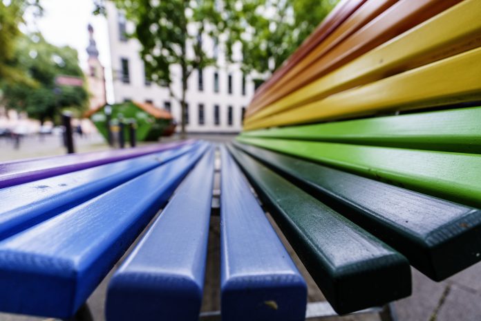 ARCHIV - 16.09.2024, Rheinland-Pfalz, Mainz: Eine Bank in Regenbogen-Farben steht in Mainz. (zu dpa: «Stadt stoppt Unterkunft für queere Geflüchtete in Winterhude») Foto: Andreas Arnold/dpa +++ dpa-Bildfunk +++