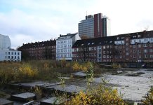 Paloma-Viertel in Hamburg: Zwischen Häusern ist das derzeit unbebaute und mit Pflanzen bewachsene Gelände des künftigen Paloma-Viertels zu sehen.