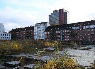 Paloma-Viertel: Es war einmal ein Beteiligungsverfahren Paloma-Viertel in Hamburg: Zwischen Häusern ist das derzeit unbebaute und mit Pflanzen bewachsene Gelände des künftigen Paloma-Viertels zu sehen.