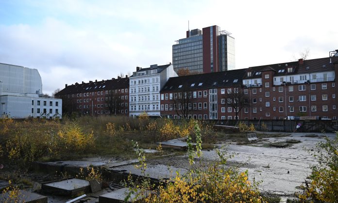 Paloma-Viertel in Hamburg: Zwischen Häusern ist das derzeit unbebaute und mit Pflanzen bewachsene Gelände des künftigen Paloma-Viertels zu sehen.