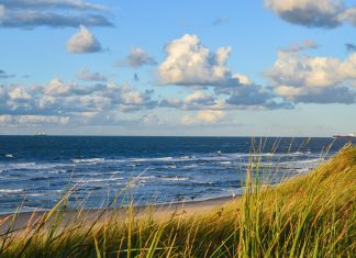 Deutsche Nordsee so warm wie noch nie Die deutsche Nordsee war 2024 so warm wie noch nie.