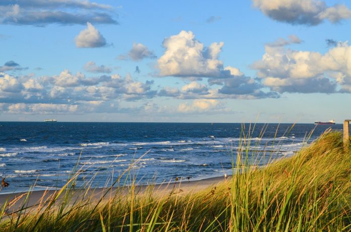 Die deutsche Nordsee war 2024 so warm wie noch nie.