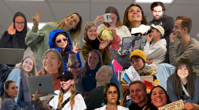 Die Finken werden flügge Eine Collage aus Bildern von allen aus dem Jahrgang.