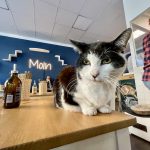 Katers Köök Hamburg