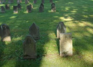 Der Friedhof Ohlsdorf – Ruhestätte oder Park? Gräber auf dem Friedhof Ohlsdorf.