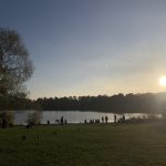 Badeseen in Hamburg eröffnet Der Stadtparksee bei Sonnenuntergang