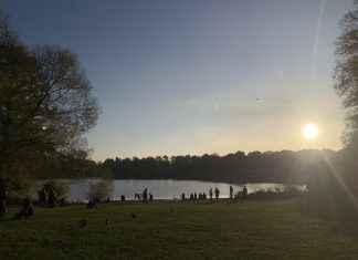 Badeseen in Hamburg eröffnet Der Stadtparksee bei Sonnenuntergang