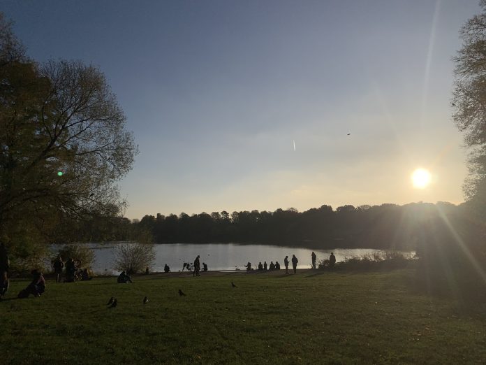 Stadtparksee Der Stadtparksee bei Sonnenuntergang