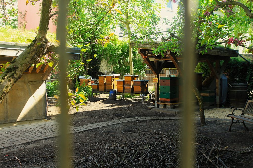 Blick durch die Gitterstäbe am Hühnerhof Motte.
