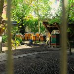 Hühnerhof Motte Gitterstäbe