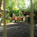 IMG_6752