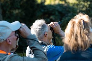 Matthias Votel bei einer Vogelkundlichen Führung des Nabu-West in Hamburg. Er schaut mit einem schwarzen Fernglas in einen Baum. Die Führungen sind ein Muss für jeden Hobby Ornithologie Enthusiasten.