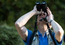 Mit Fernglas über den Friedhof flanieren Matthias Votel leitet seit über 20 Jahren Vogelführungen beim Nabu. Immer wieder schaut er mit seinem Fernglas in den Himmel. Foto: Lovis Wiefelspütz