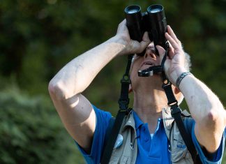Mit Fernglas über den Friedhof flanieren Matthias Votel leitet seit über 20 Jahren Vogelführungen beim Nabu. Immer wieder schaut er mit seinem Fernglas in den Himmel. Foto: Lovis Wiefelspütz