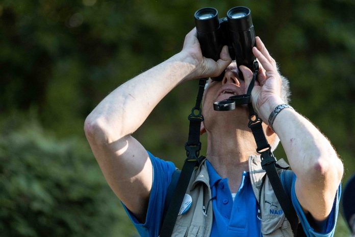 MAthias Foto Walk-4 Matthias Votel leitet seit über 20 Jahren Vogelführungen beim Nabu. Immer wieder schaut er mit seinem Fernglas in den Himmel. Foto: Lovis Wiefelspütz