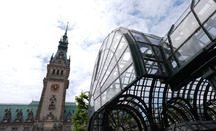 Sanierung der Rathausmarkt Pavillons Das verglaste Dach eines Rathausmarkt Pavillon und im Hintergrund das Rathaus.