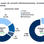 Jahrbuch Polizeiliche Kriminalstatistik 2024