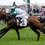 Historischer Derbysieg mit Beigeschmack Braunes Pferd mit Person die draufsitzt