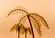 Hitzeinsel Hamburg: Palmen aus Plastik, Insel aus Beton Zu sehen sind drei Plastik-Palmen im Park Fiction in Hamburg. Die Sonne geht gerade unter, der Himmel ist orange gefärbt.