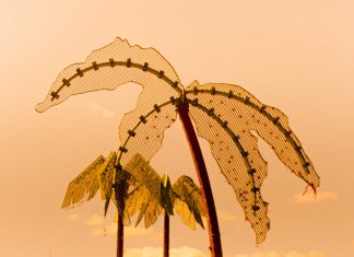 Hitzeinsel Hamburg: Palmen aus Plastik, Insel aus Beton Zu sehen sind drei Plastik-Palmen im Park Fiction in Hamburg. Die Sonne geht gerade unter, der Himmel ist orange gefärbt.