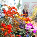 NABU Reportage Slide Post