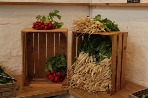 In zwei Holzkisten sind weiße- und rote Radieschen zu sehen.