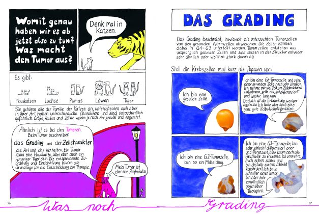 Doppelseite über die verschiedenen Tumorarten und das Grading von Tumoren.