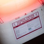 Organspenden in Hamburg steigen leicht an Weiße Kühlbox für Organtransplantationen und Spenderorgane. Symbolbild für Organspenden in Hamburg steigen leicht an