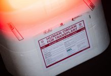 Organspenden in Hamburg steigen leicht an Weiße Kühlbox für Organtransplantationen und Spenderorgane. Symbolbild für Organspenden in Hamburg steigen leicht an