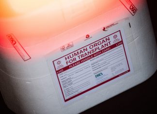 Organspenden in Hamburg steigen leicht an Weiße Kühlbox für Organtransplantationen und Spenderorgane. Symbolbild für Organspenden in Hamburg steigen leicht an