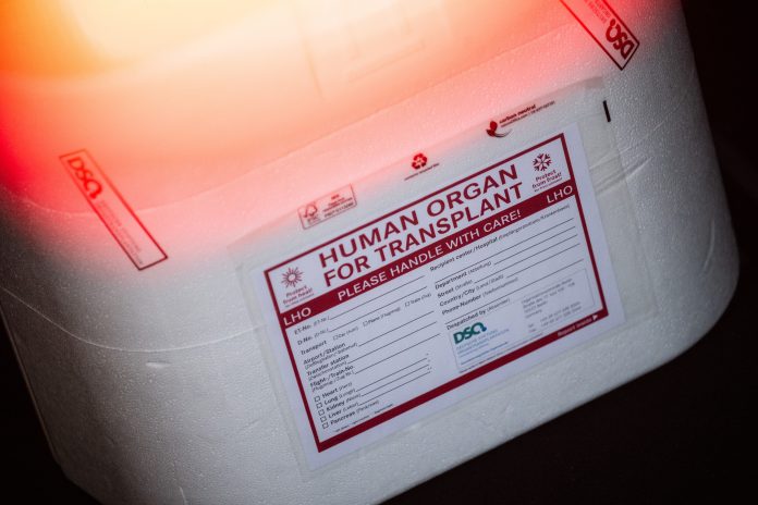 Weiße Kühlbox für Organtransplantationen und Spenderorgane. Symbolbild für Organspenden in Hamburg steigen leicht an