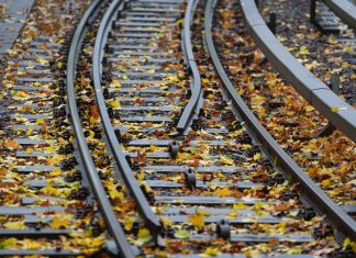 U1-Baustelle: Pendler müssen sich auf längere Fahrzeiten einstellen Herbstlaub liegt auf den Gleisen am U-Bahnhof Landungsbrücken. Als Symbol für die Sperrung der Bahnstrecke.