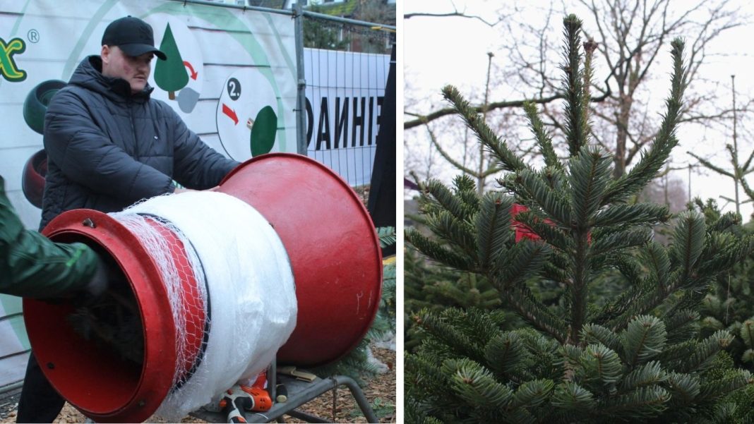 Braun Weiß Beige Foto Schlicht Verlauf Meditation Lifestyle Youtube Thumbnail-2 Ein junger Mann, der einen Weihnachtsbaum einpackt und ein Tannenbaum.