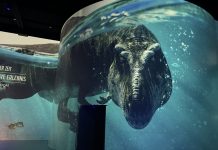 Dinosaurier in der Hafencity: Lebensgroß mit leisen Tönen Dinosaurier auf Leinwand