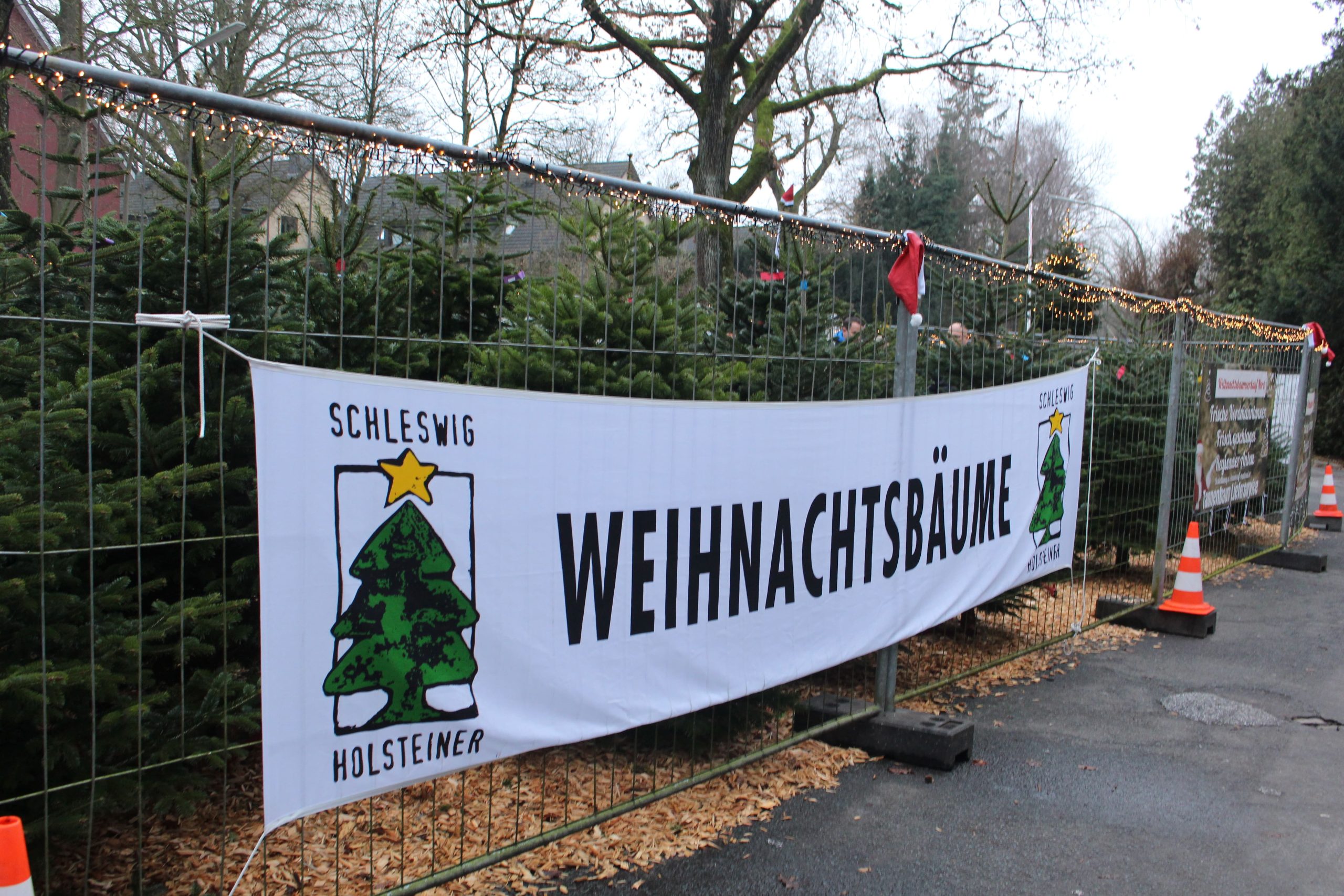Ein Schild auf dem Weihnachtsbäume steht.