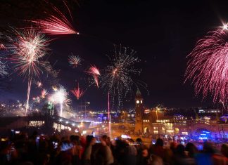 Nabu fordert, auf private Böllerei zu verzichten Das Bild zeigt den Hamburger Hafen und eine Menschenmenge. Ein Feuerwerk ist zu sehen.