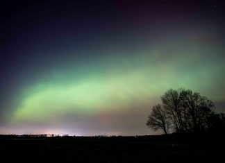 Polarlichter leuchten über Hamburg Polarlichter über hamburg. Das Himmelphänomen wird auch Aurora bolearis genannt.