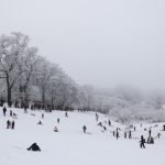 Winter hält Hamburg fest im Griff Zahlreiche Menschen sind mit Schlitten unterwegs und rodeln an einem kleinen Hang im tief verschneiten Jenischpark.